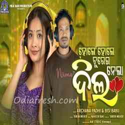 Hole Hole Churei Nela Dil